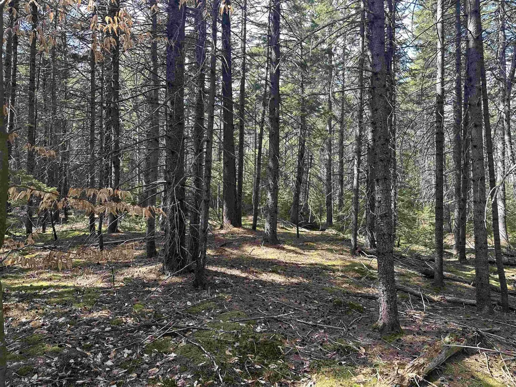Lot 6 Sargent Road New London NH 03257