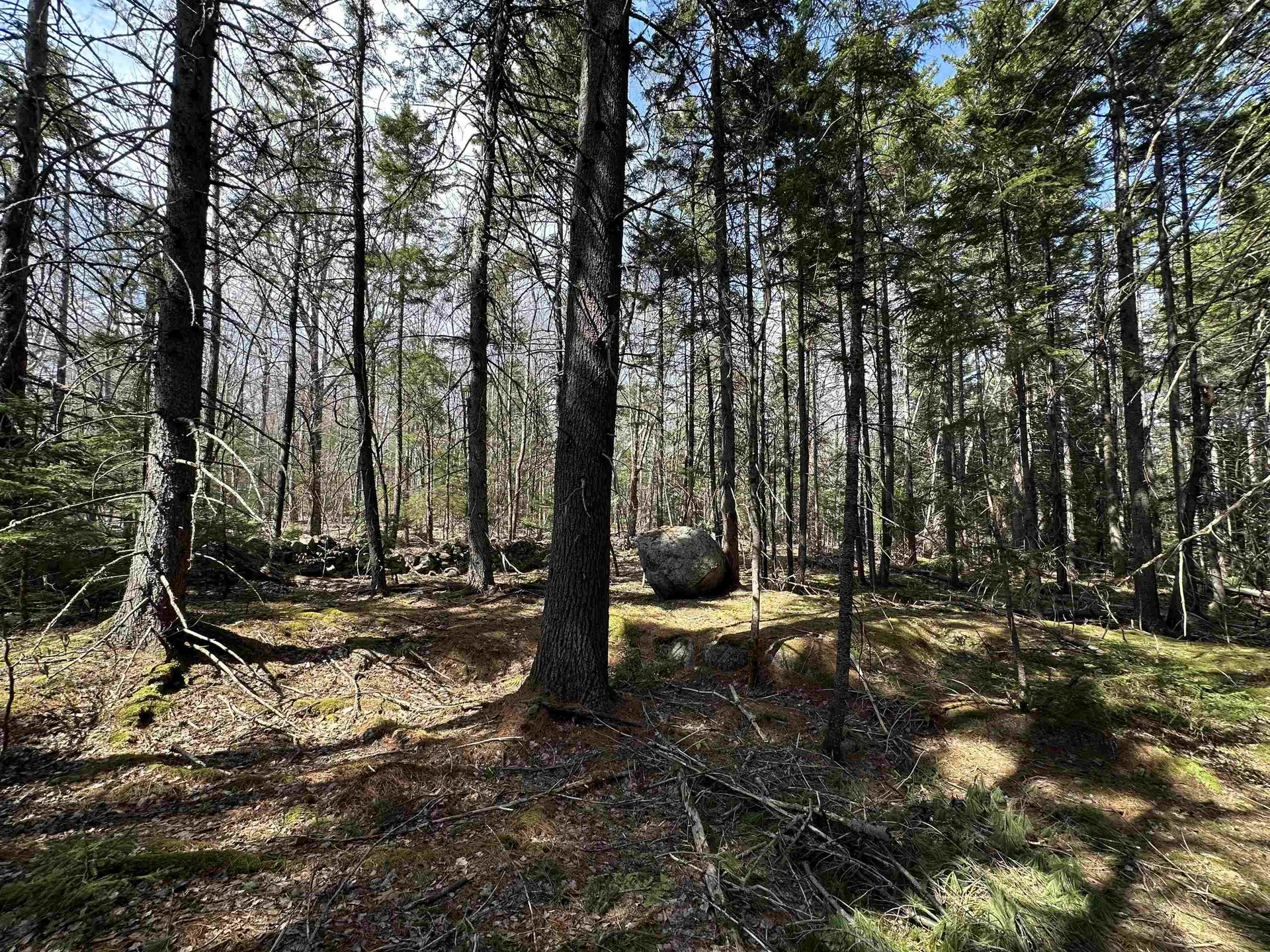 Lot 6 Sargent Road New London NH 03257