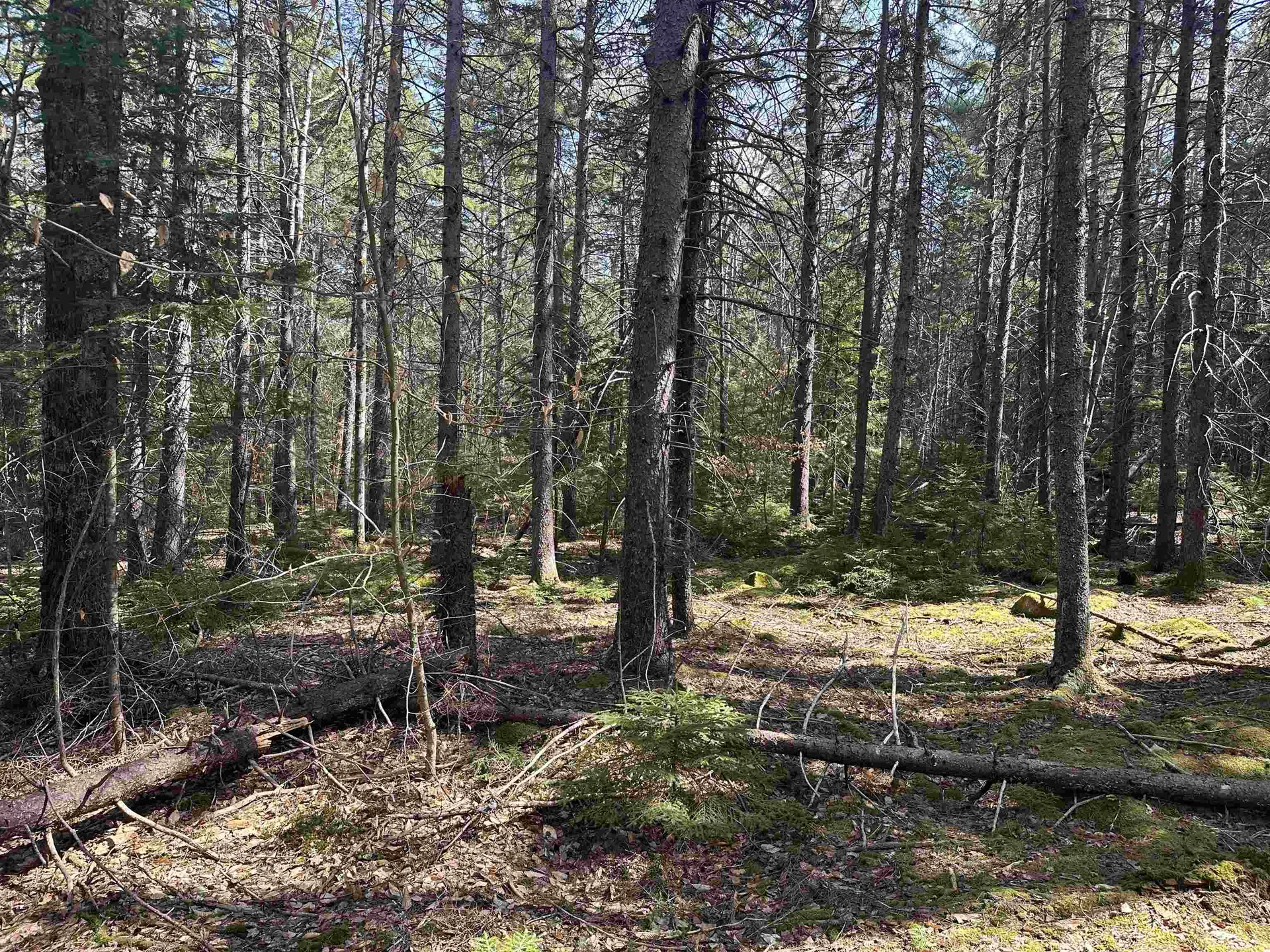 Lot 6 Sargent Road New London NH 03257