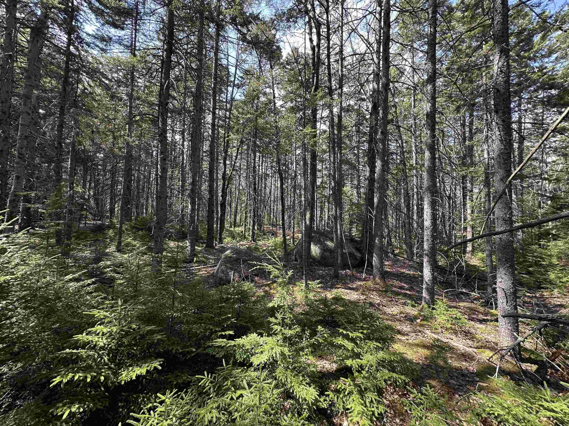 Lot 6 Sargent Road New London NH 03257