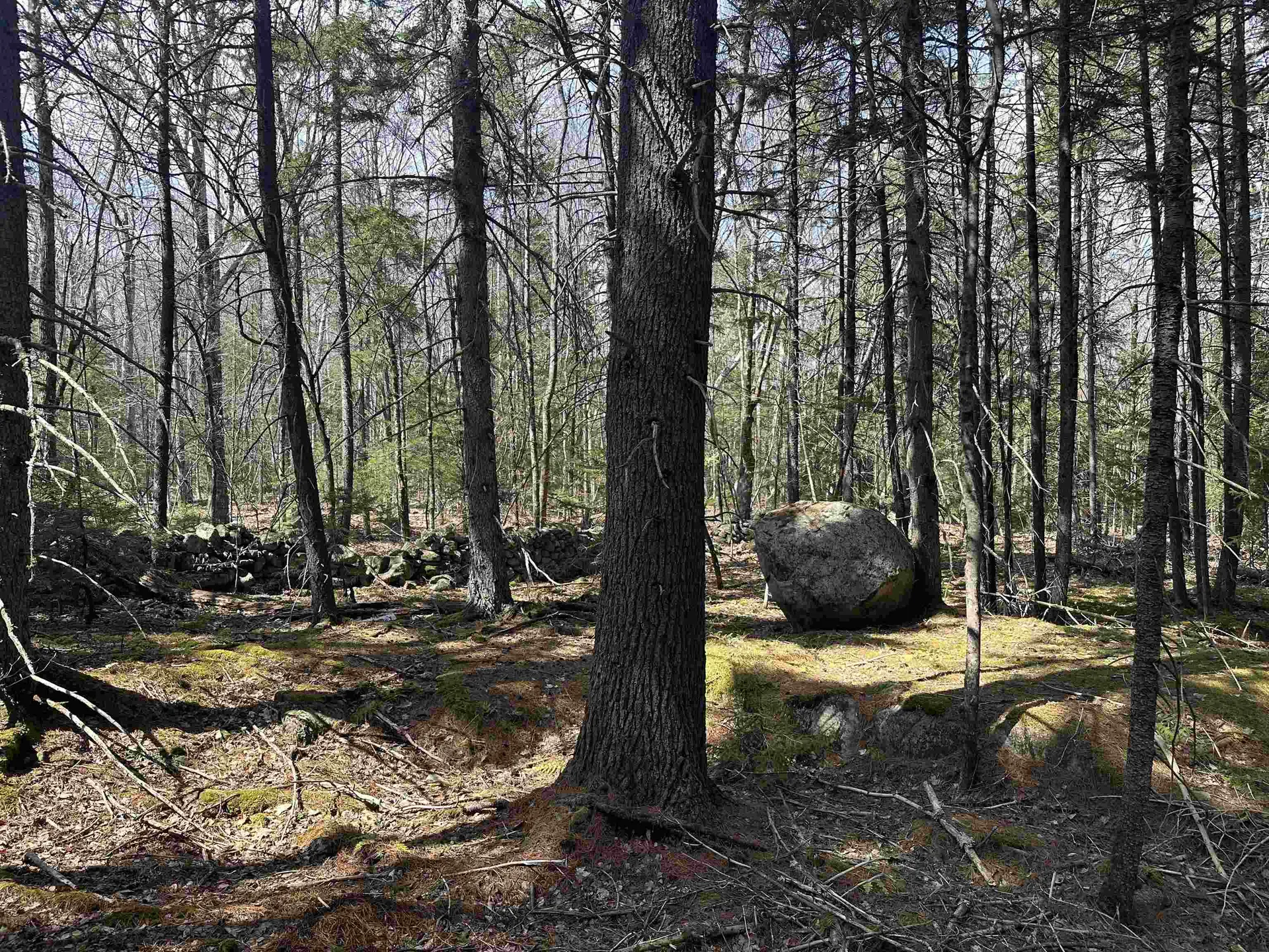 Lot 6 Sargent Road New London NH 03257