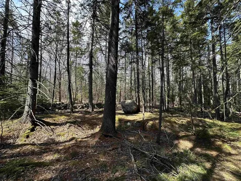 Lot 6 Sargent Road New London NH 03257