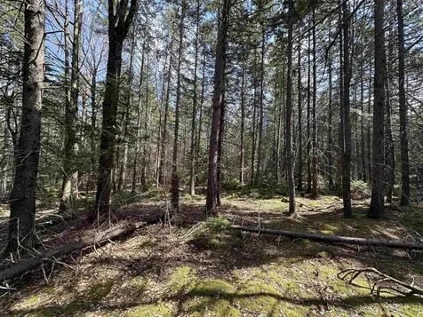 Lot 6 Sargent Road New London NH 03257