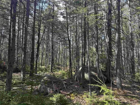Lot 6 Sargent Road New London NH 03257