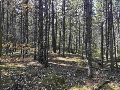 Lot 6 Sargent Road New London NH 03257