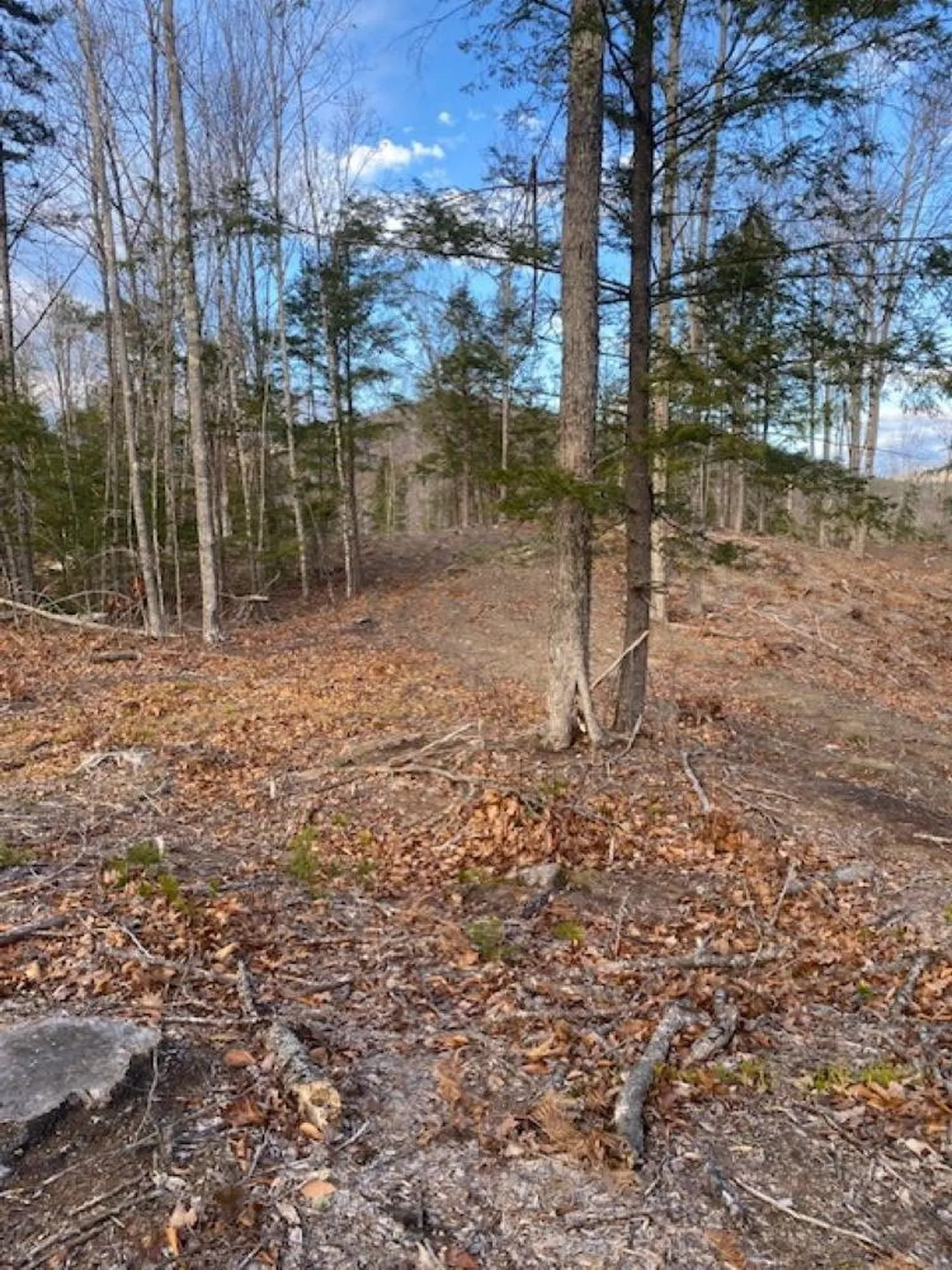 15-12-10-6 Jacob Hall Farm Road Rumney NH 03266