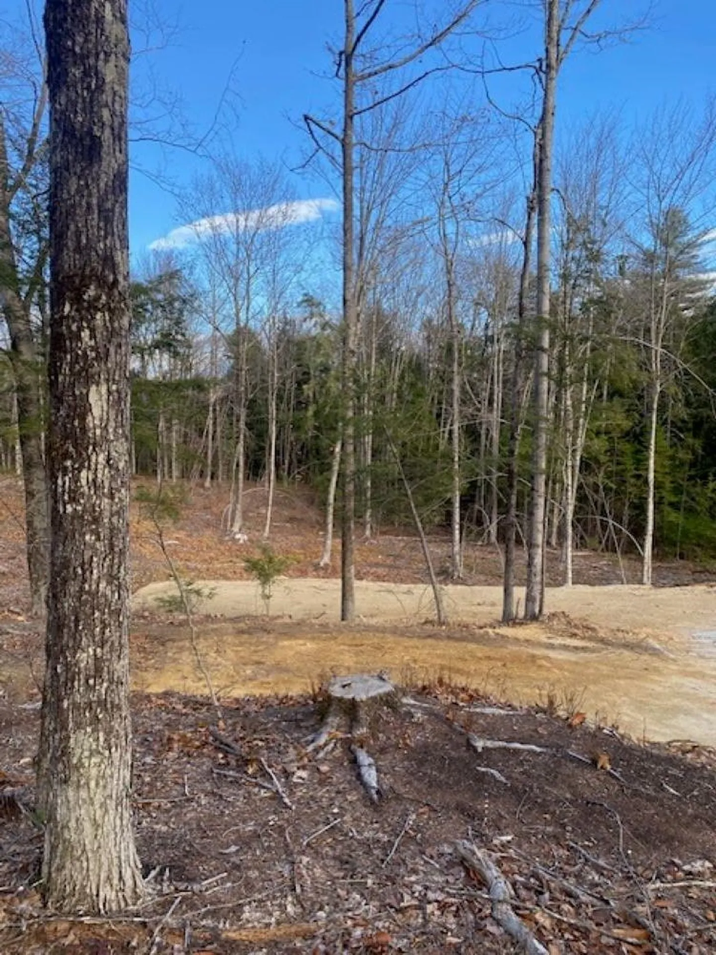 15-12-10-6 Jacob Hall Farm Road Rumney NH 03266