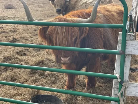 668 Urquhart Road Newbury VT 05058