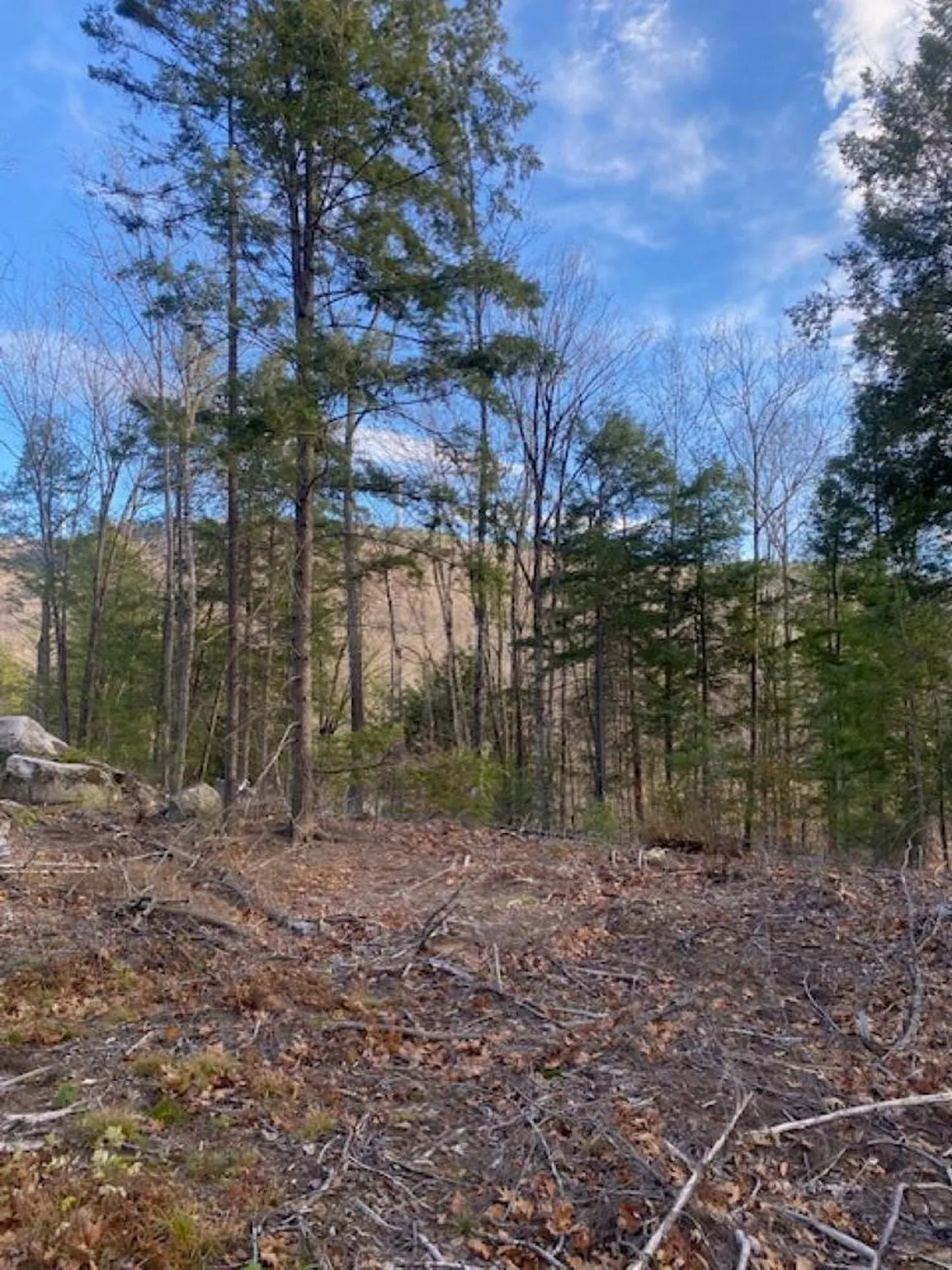 15-12-10-13 Jacob Hall Farm Road Rumney NH 03266