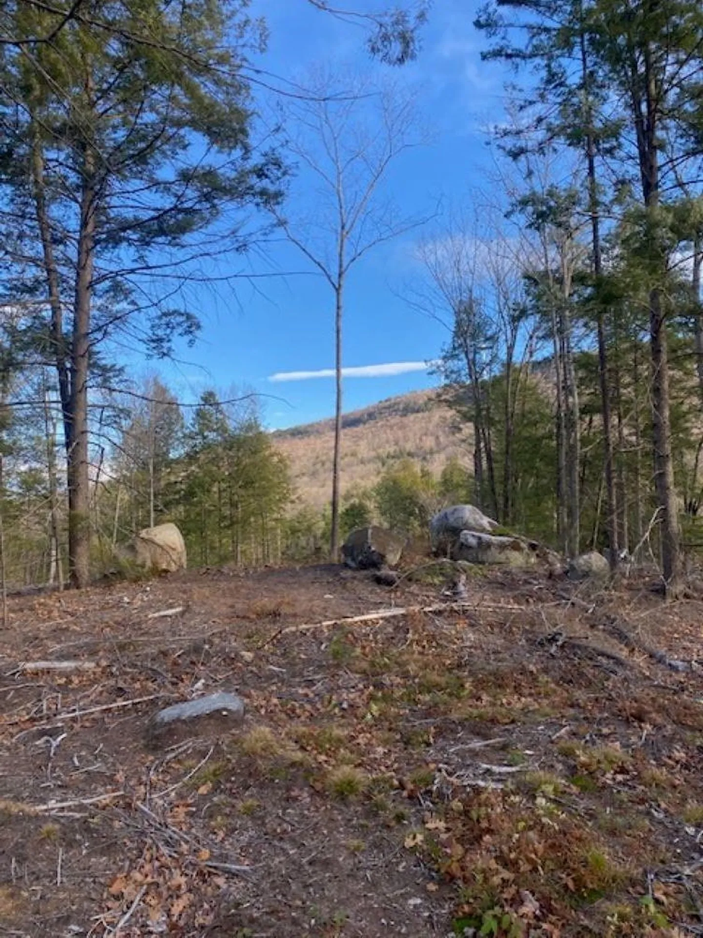 15-12-10-13 Jacob Hall Farm Road Rumney NH 03266