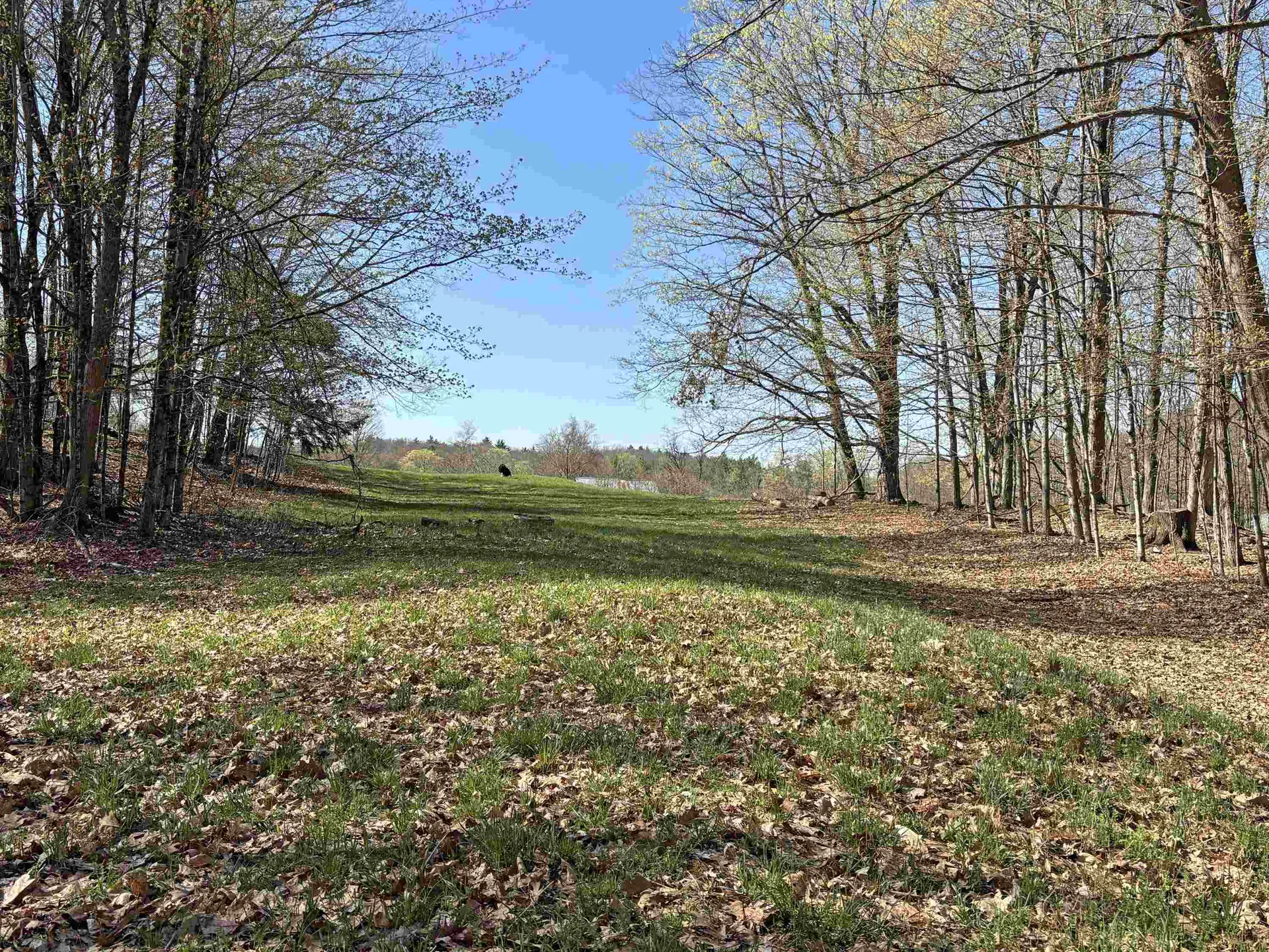 0 Westminster West Road Putney VT 05346