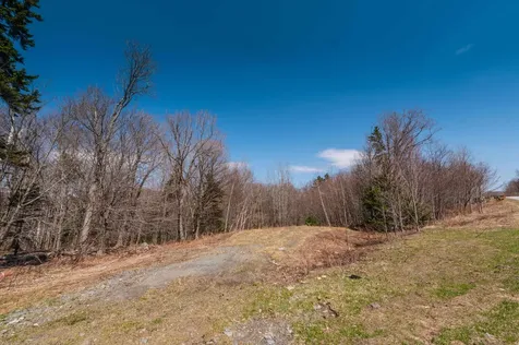 70 Overlook Drive Dover VT 05356