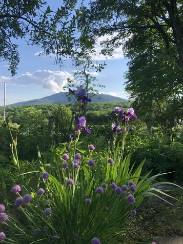 161 Upper Jaffrey Road Dublin NH 03444
