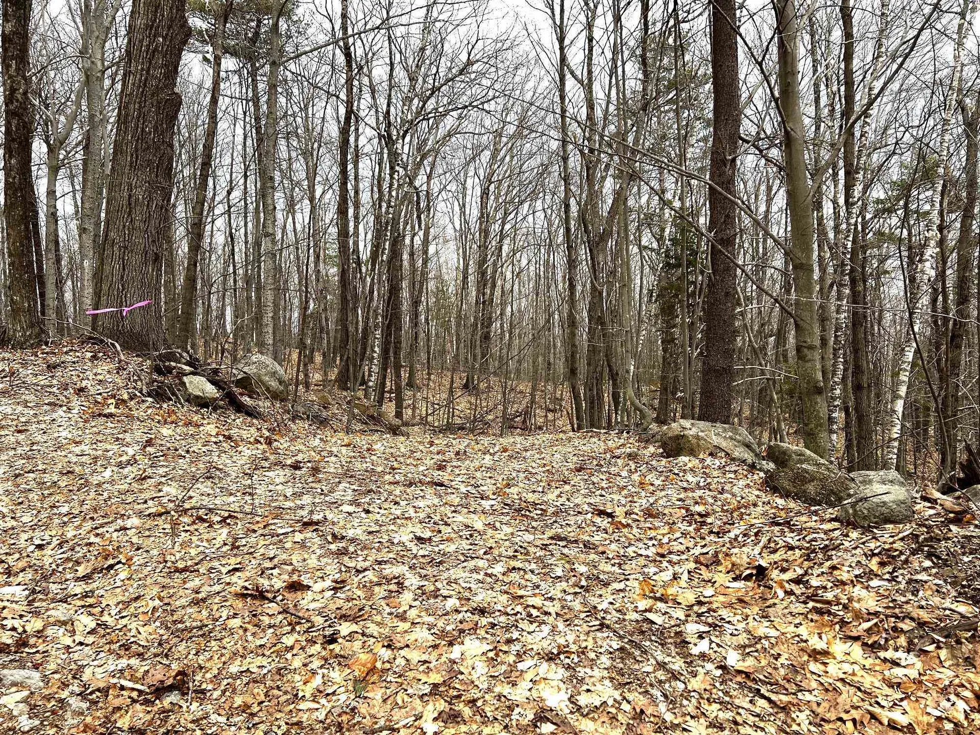 207000001 South Range Road Salisbury NH 03268