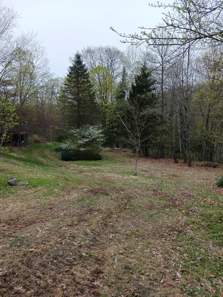 3730 Route 100 Wardsboro VT 05355