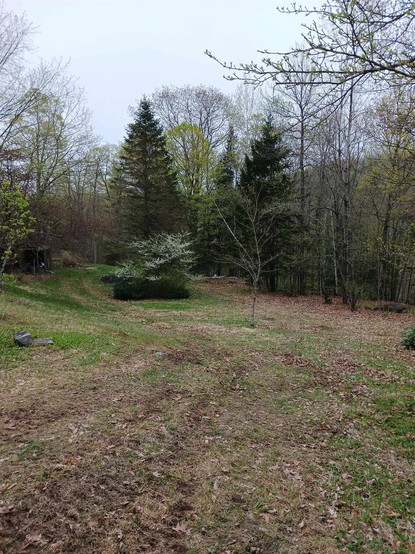 3730 Route 100 Wardsboro VT 05355