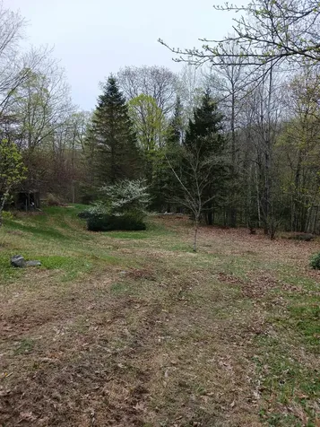 3730 Route 100 Wardsboro VT 05355