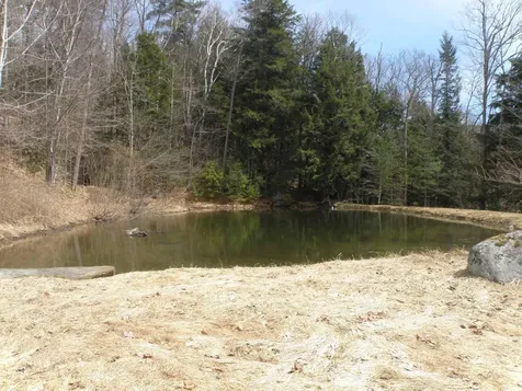 3730 Route 100 Wardsboro VT 05355