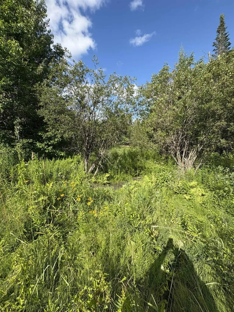 Partridge Lane Danville VT 05828