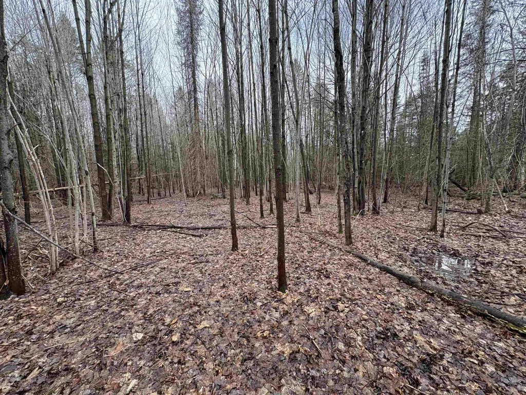 Partridge Lane Danville VT 05828