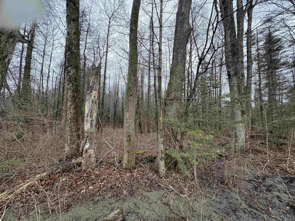 Partridge Lane Danville VT 05828