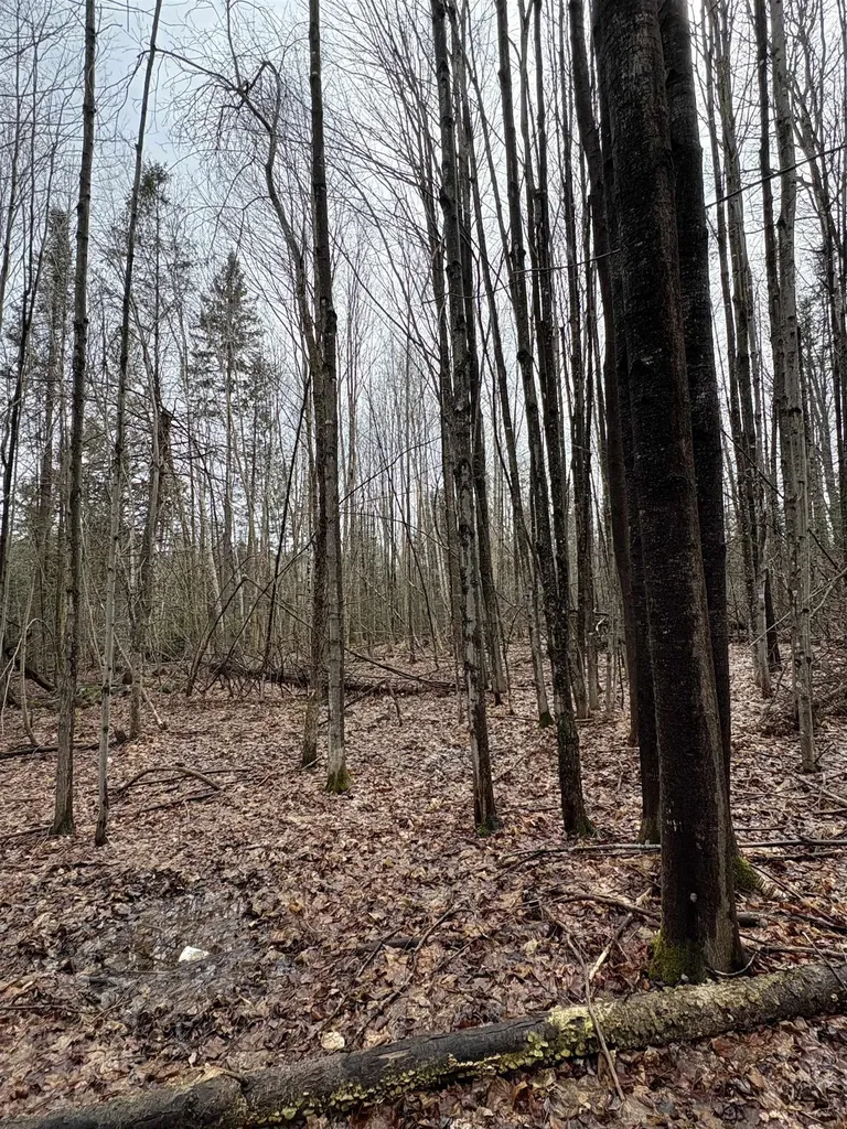 Partridge Lane Danville VT 05828