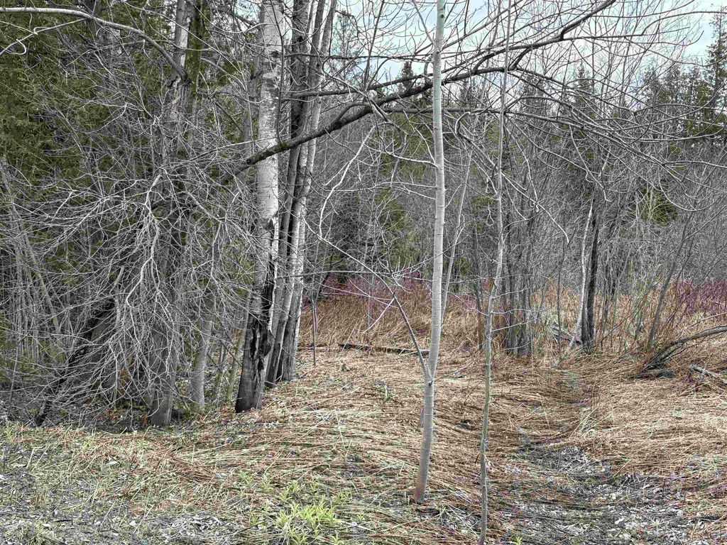 Partridge Lane Danville VT 05828