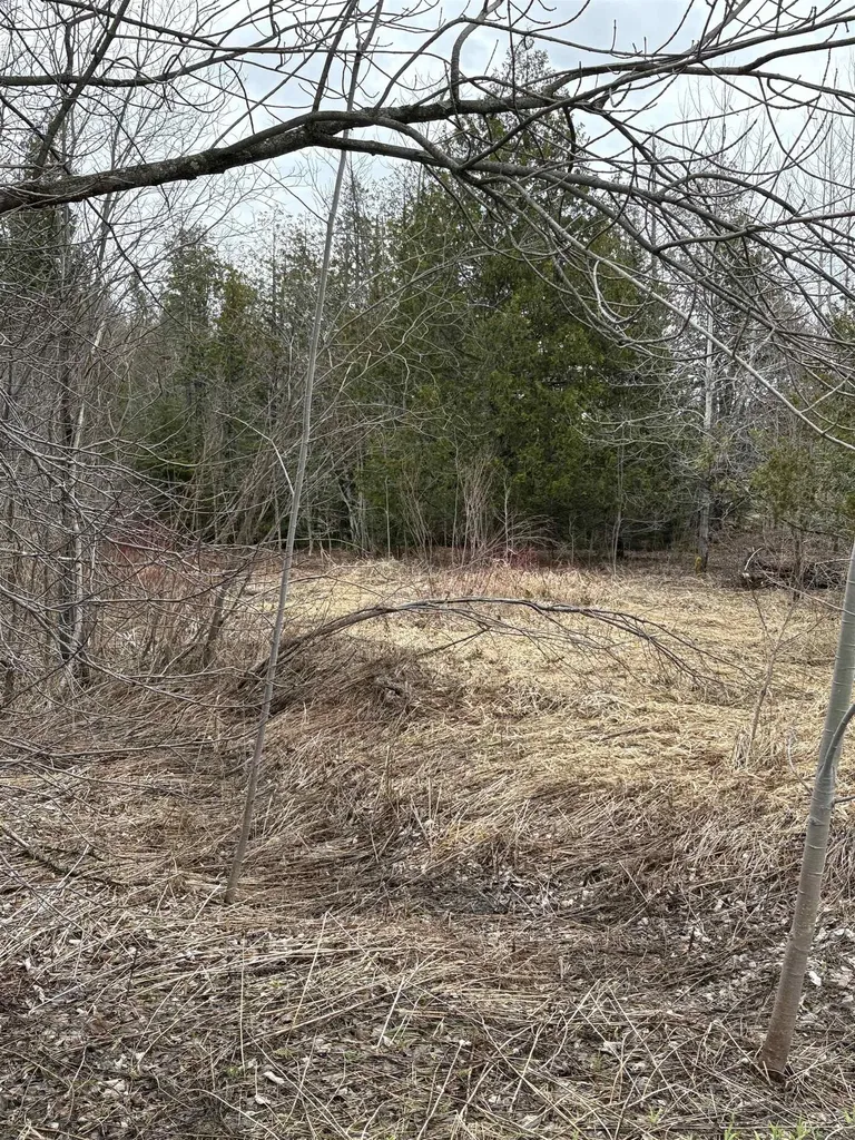 Partridge Lane Danville VT 05828