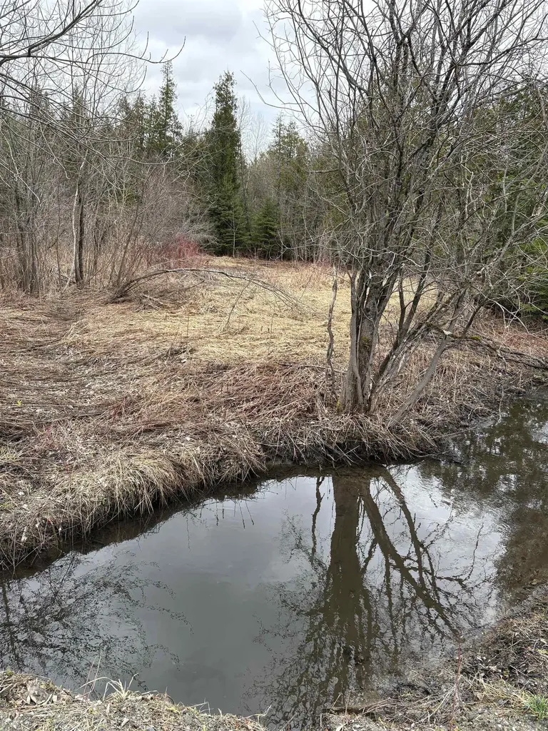 Partridge Lane Danville VT 05828