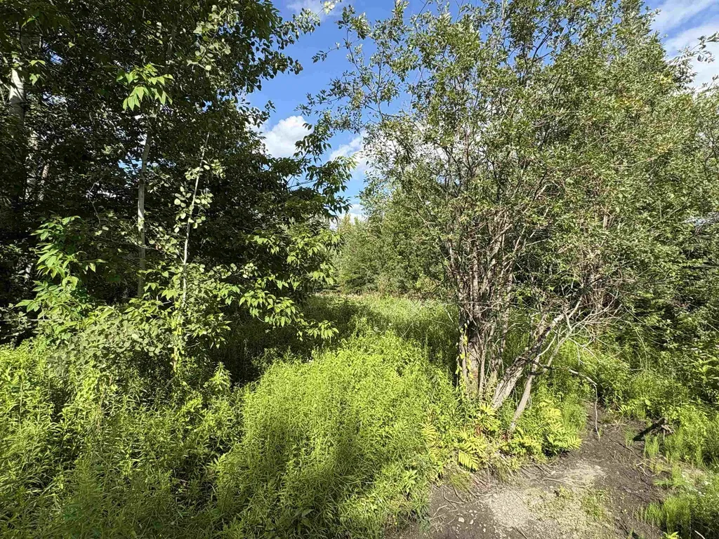 Partridge Lane Danville VT 05828