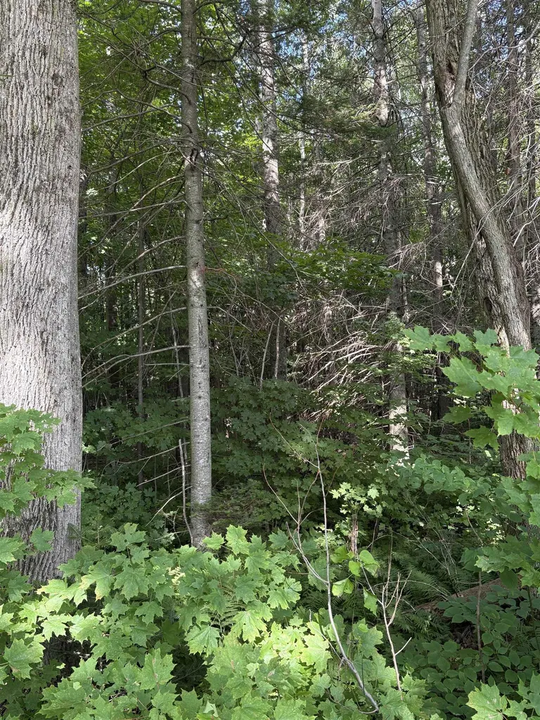 Partridge Lane Danville VT 05828