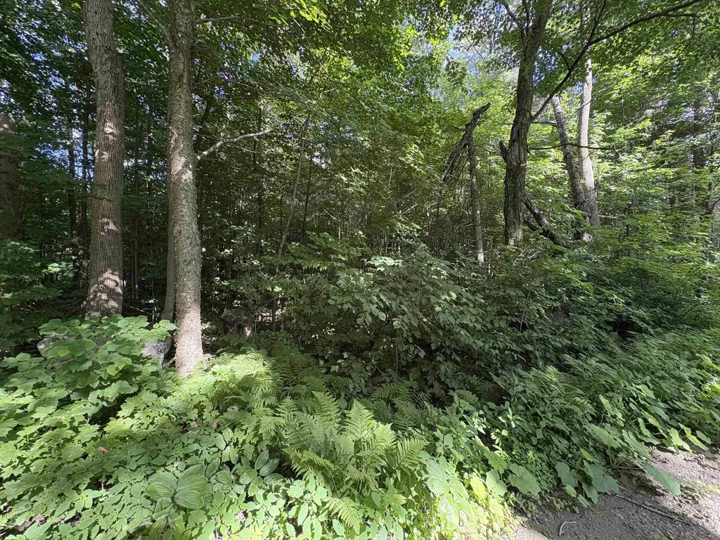 Partridge Lane Danville VT 05828