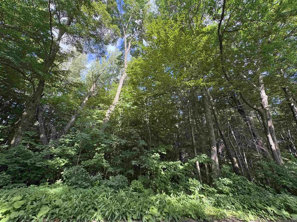 Partridge Lane Danville VT 05828