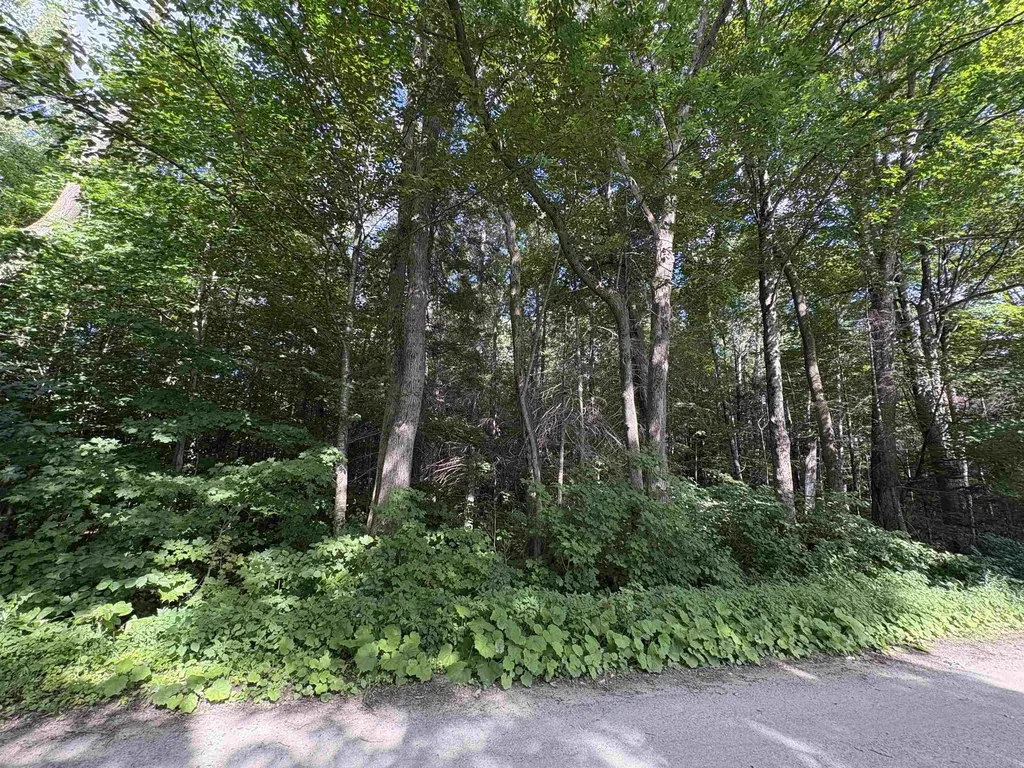 Partridge Lane Danville VT 05828