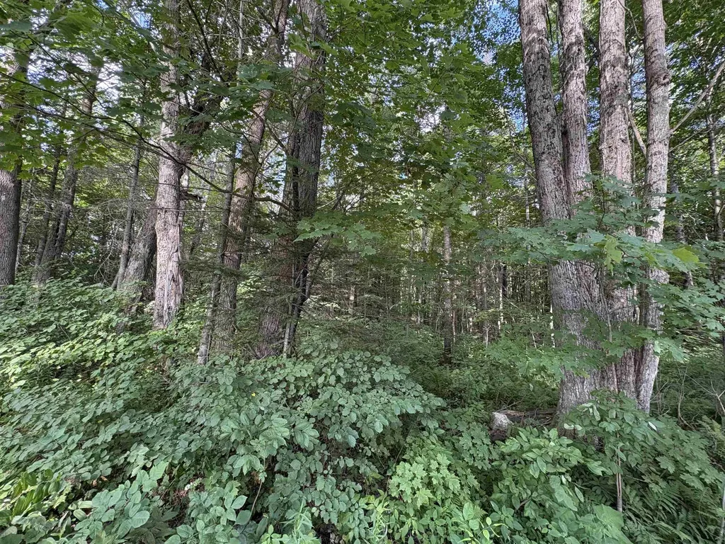 Partridge Lane Danville VT 05828