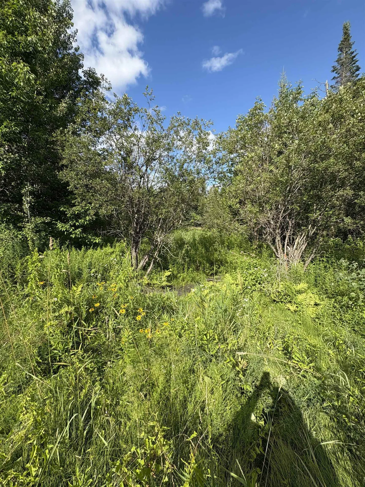 Partridge Lane Danville VT 05828