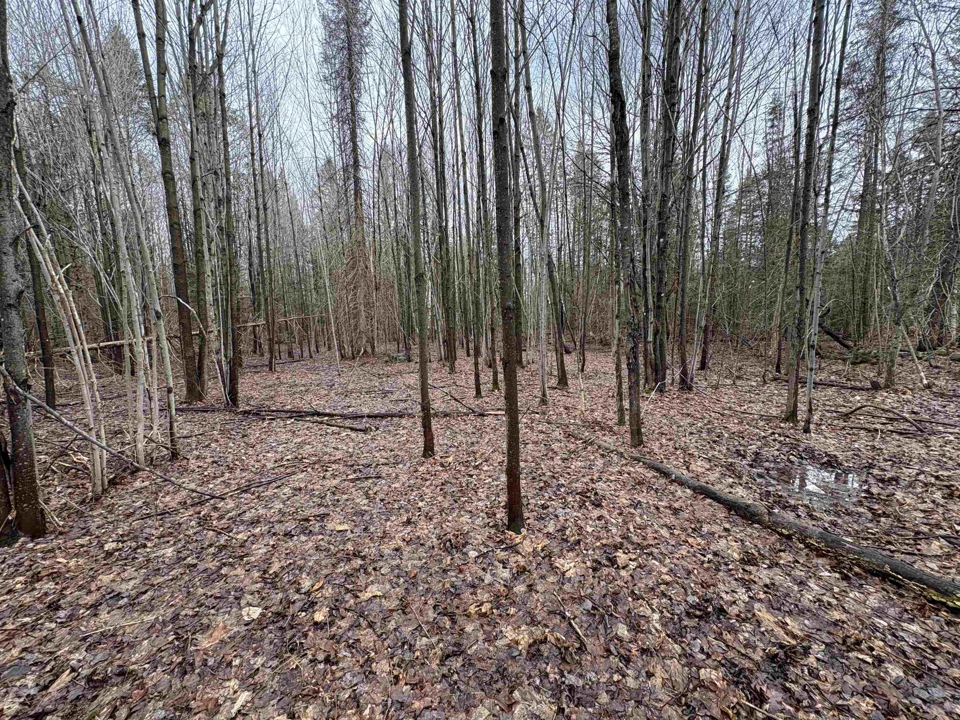 Partridge Lane Danville VT 05828