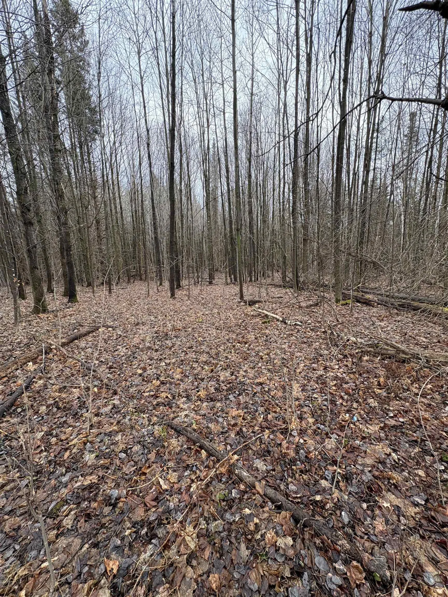 Partridge Lane Danville VT 05828