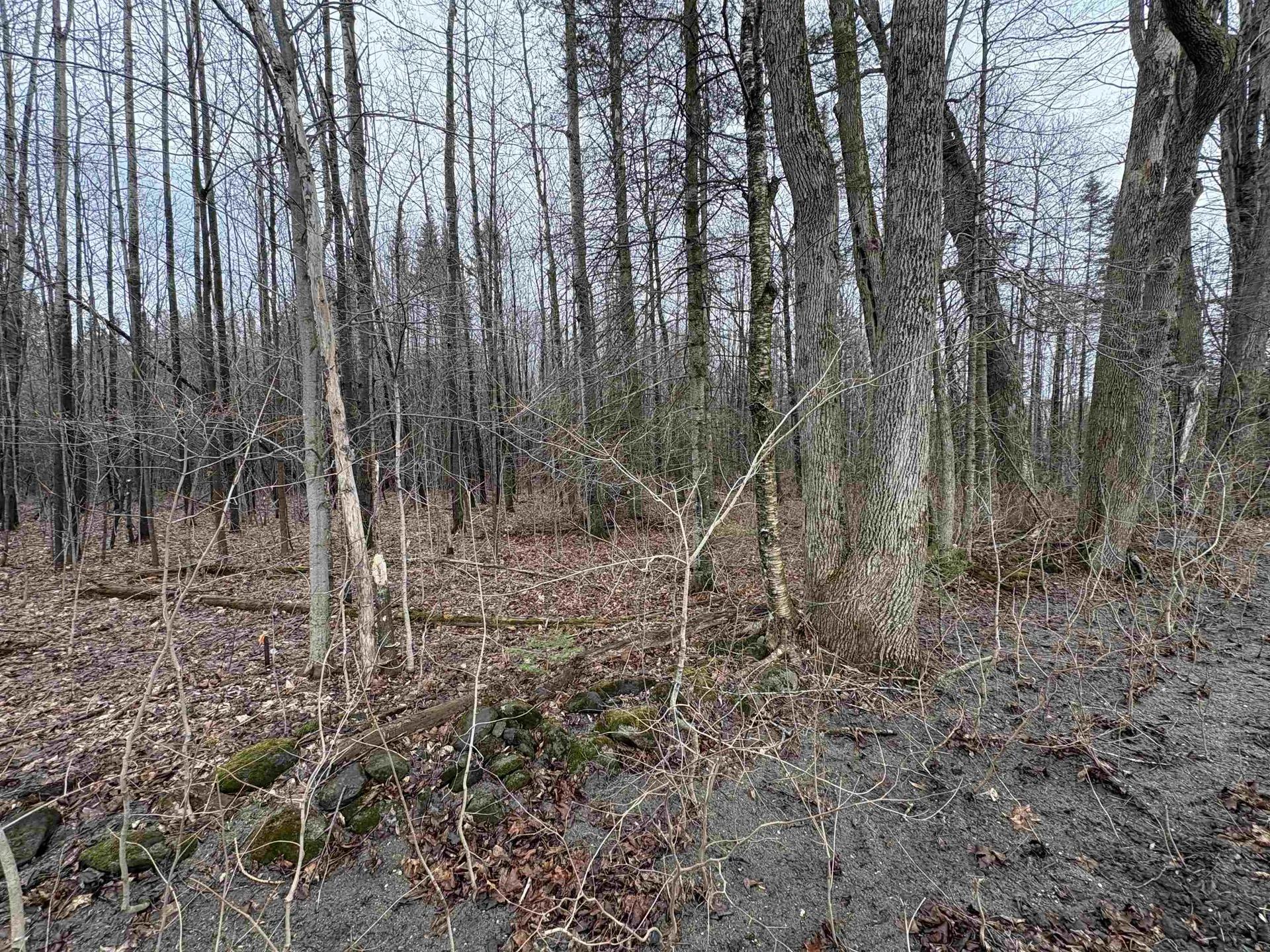 Partridge Lane Danville VT 05828