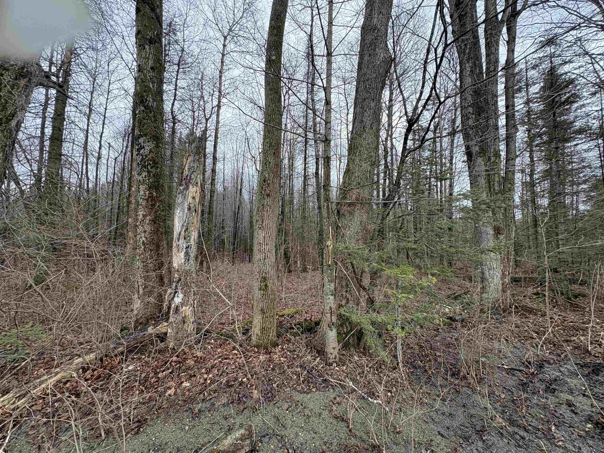 Partridge Lane Danville VT 05828