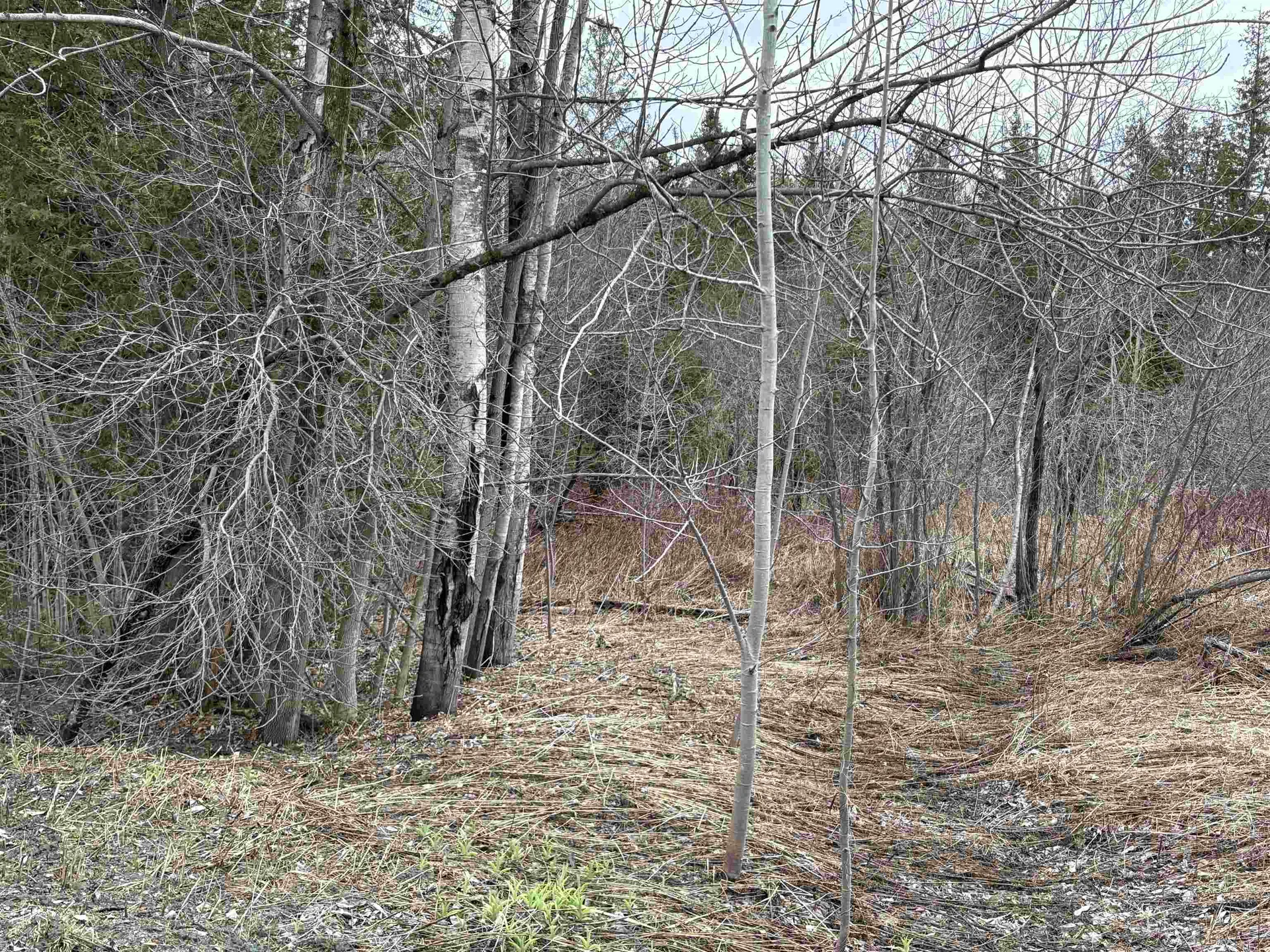 Partridge Lane Danville VT 05828