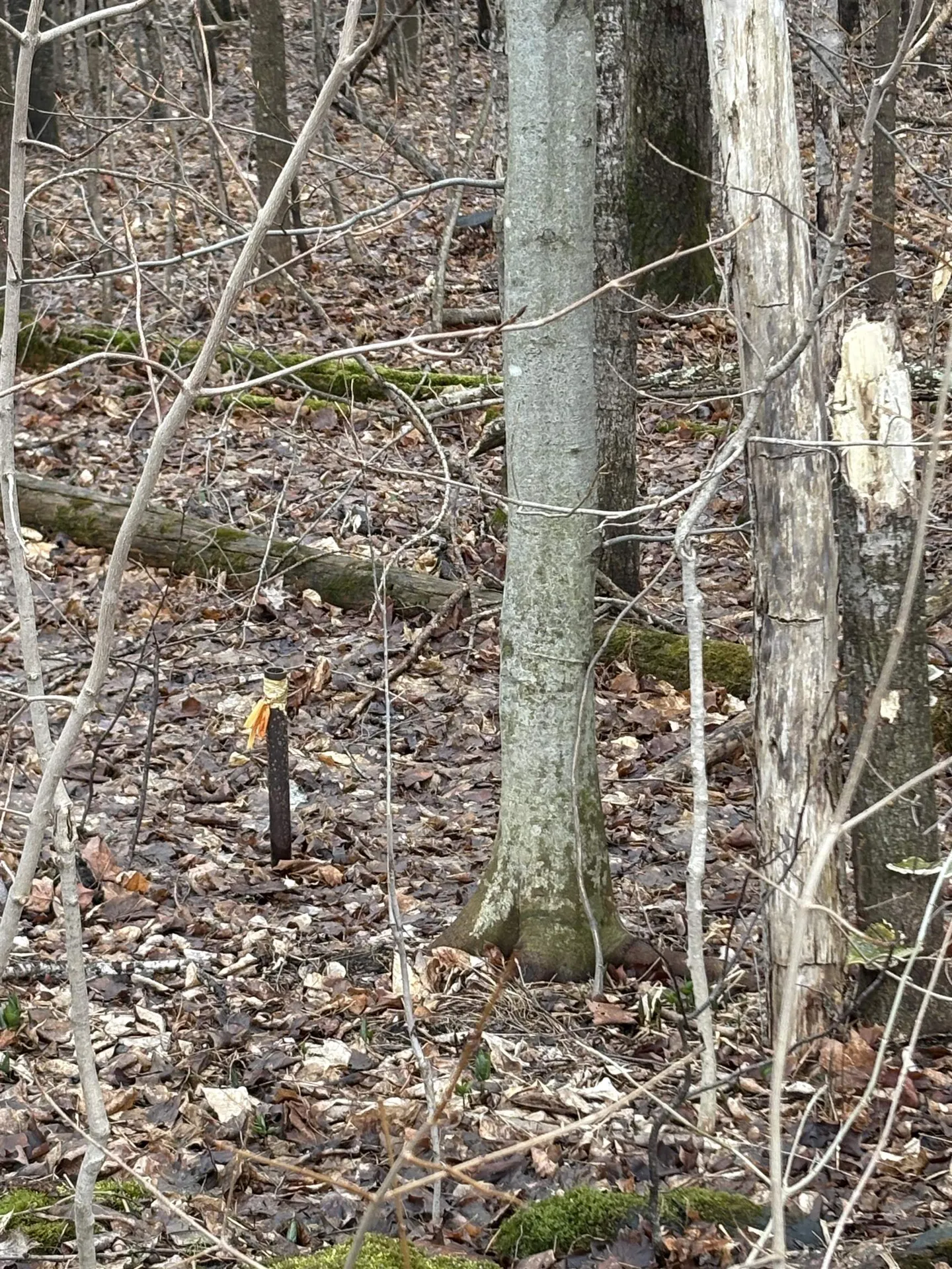 Partridge Lane Danville VT 05828