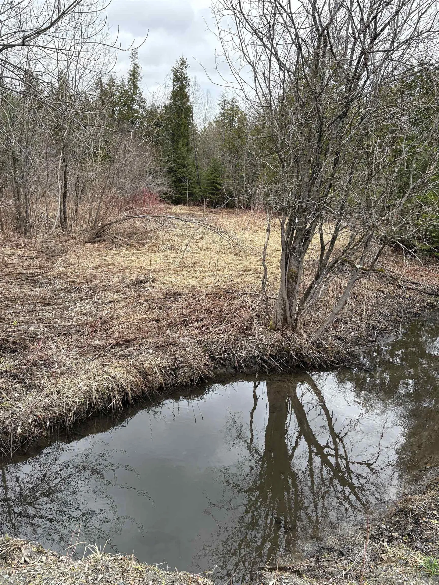 Partridge Lane Danville VT 05828