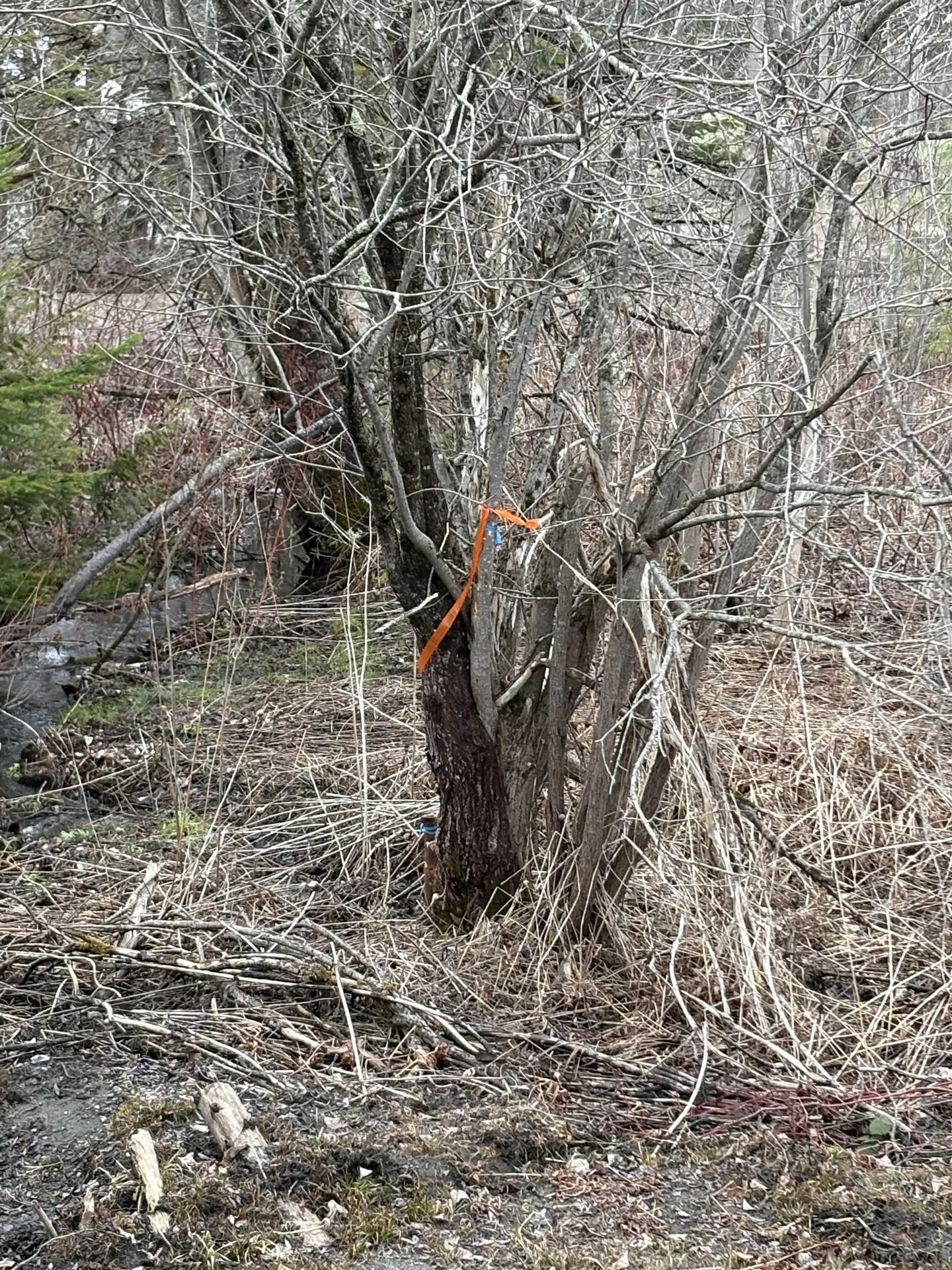 Partridge Lane Danville VT 05828