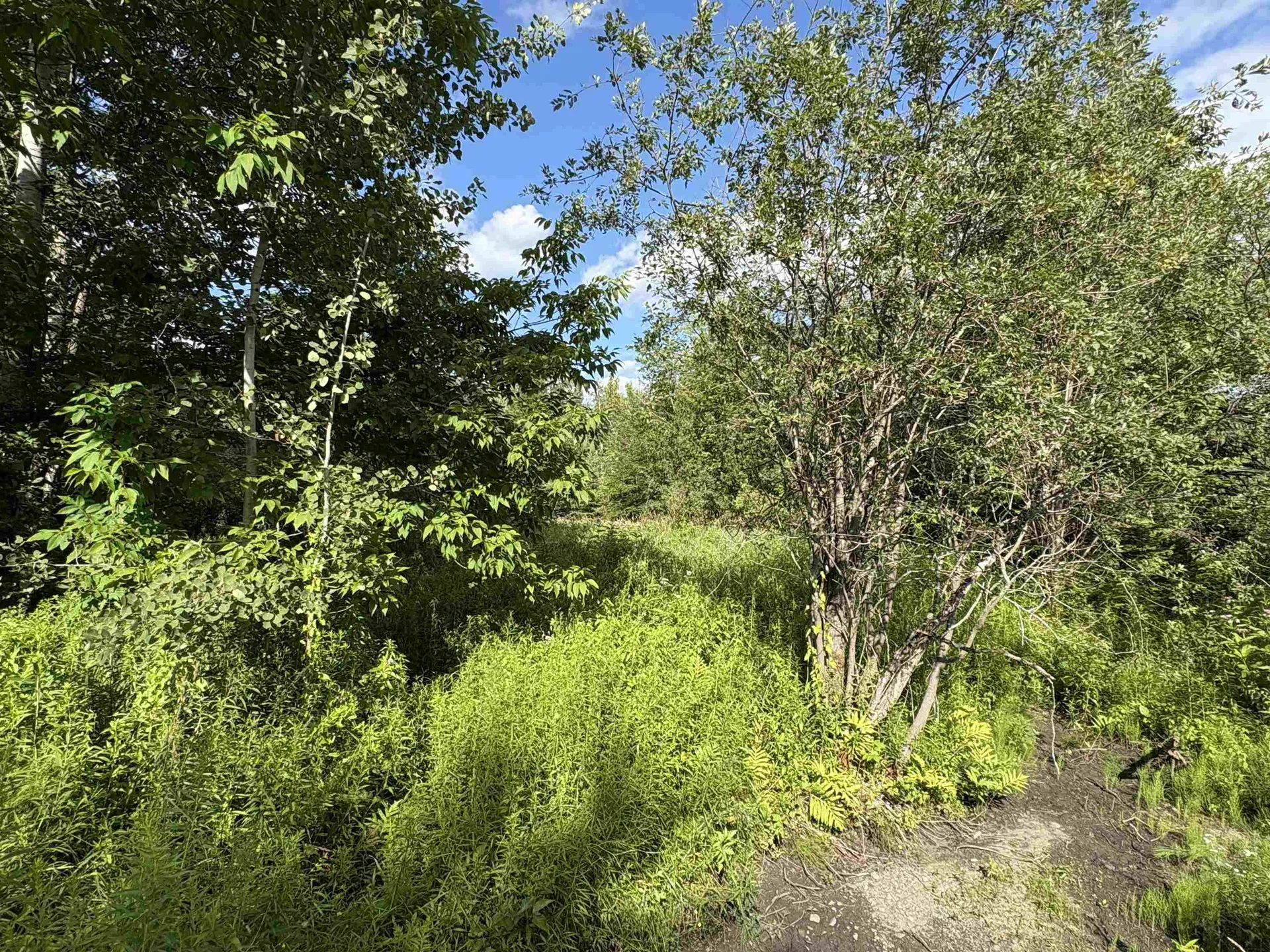 Partridge Lane Danville VT 05828