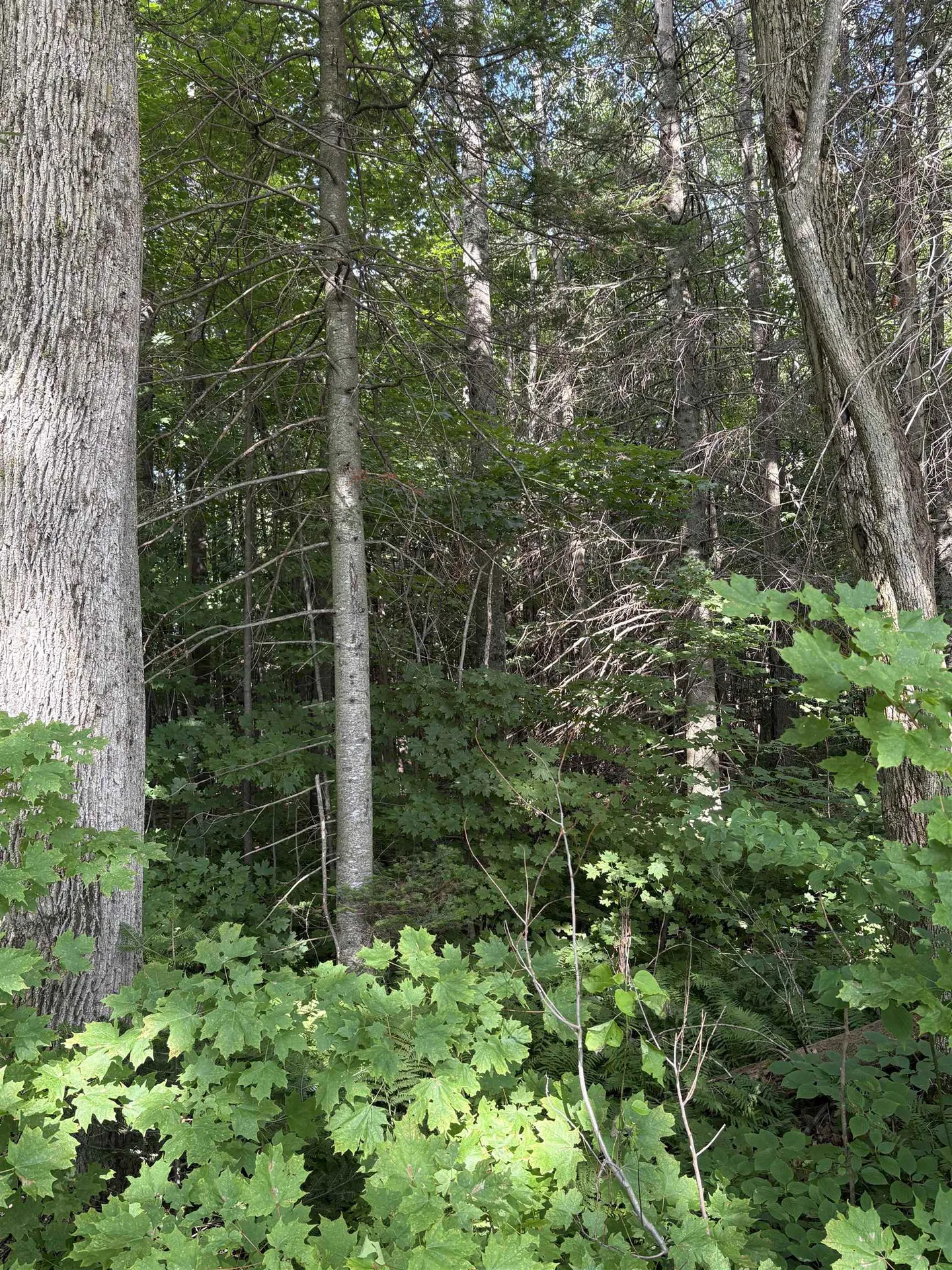 Partridge Lane Danville VT 05828