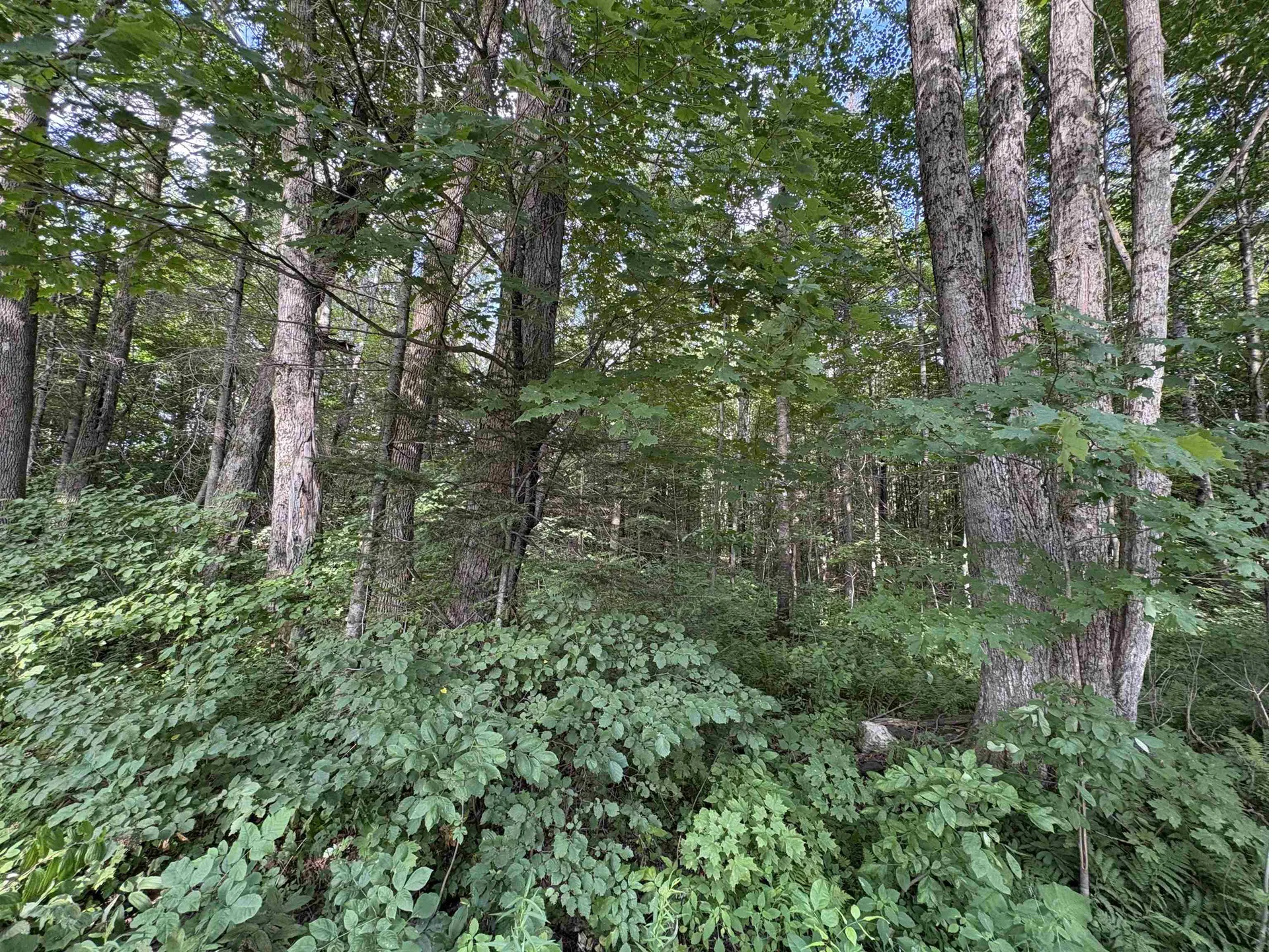 Partridge Lane Danville VT 05828