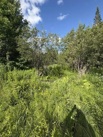 Partridge Lane Danville VT 05828