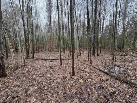 Partridge Lane Danville VT 05828