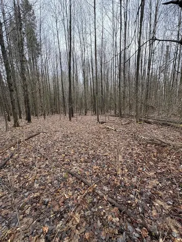 Partridge Lane Danville VT 05828